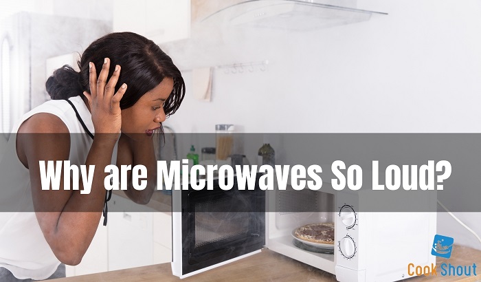 Why are Microwaves So Loud