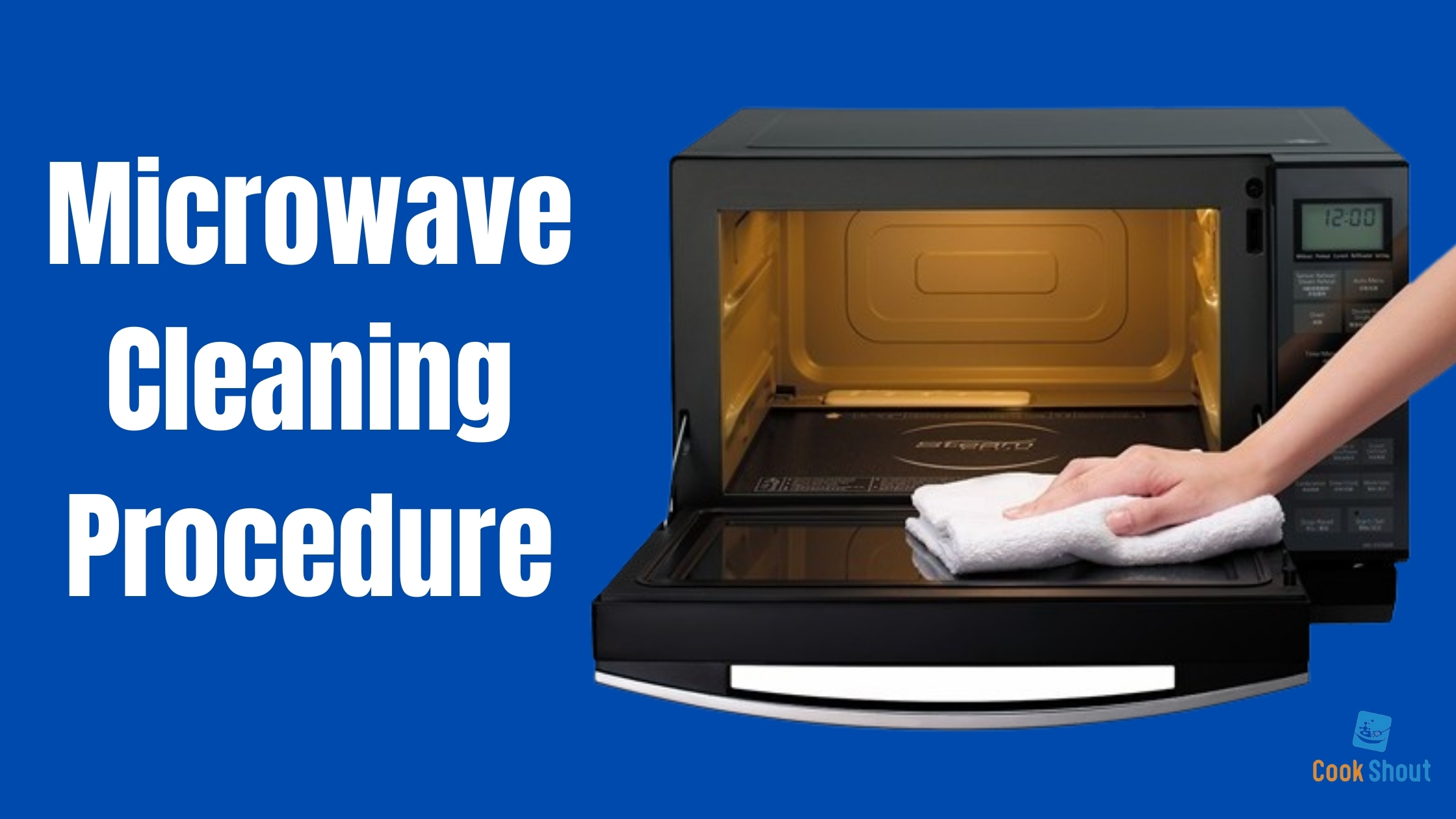 Microwave Cleaning Procedure 